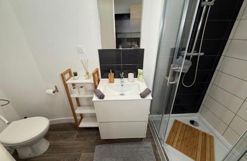 Clermont-Ferrand Apartment | L'endormi - Centre ville - WIFI et NETFLIX