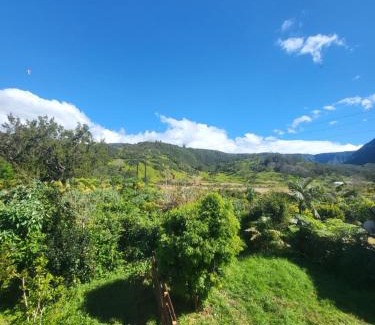 La Plaine-des-Palmistes Villa | L'escale enchantée