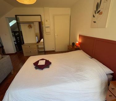 Selestat Apartment | L'ESCALE SELESTADIENNE