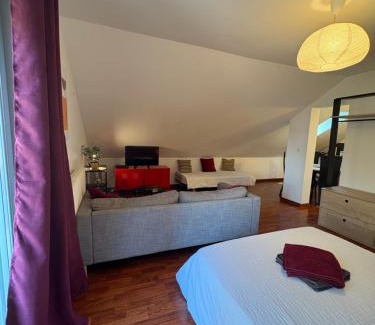 Selestat Apartment | L'ESCALE SELESTADIENNE