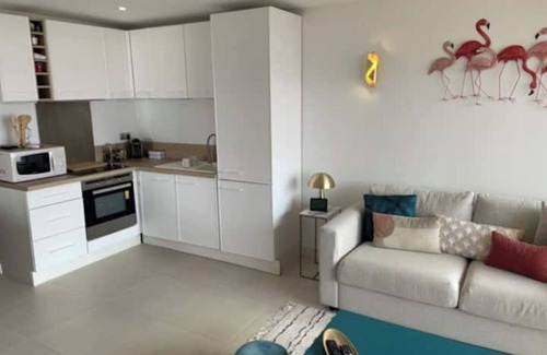 Palavas-les-Flots Apartment | L'HORIZON -Apartment 1st line sea view Class3*