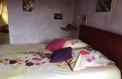 Gueberschwihr House | L'Insolite