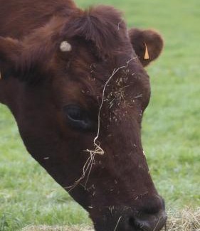 Origny-en-Thierache House | L'instant bucolique
