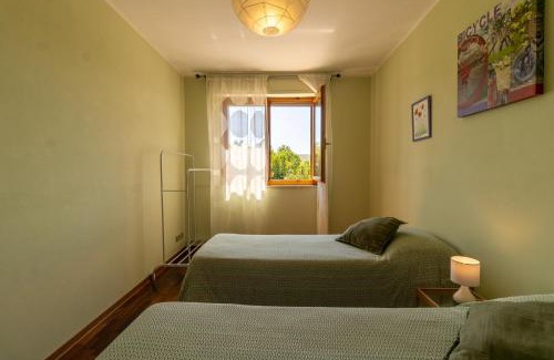 lsola d'Arbia Apartment | L'Olivo Maritato