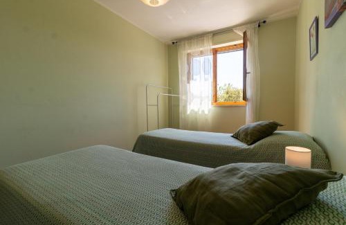 lsola d'Arbia Apartment | L'Olivo Maritato