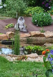 Ambon Bed & Breakfast | L'Oustaou du Bodo