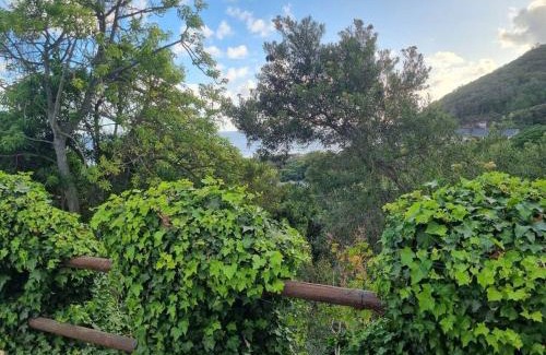 Wilderness Apartment | La Bamba