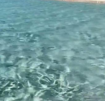 Marina District Villa | La Bella Vita