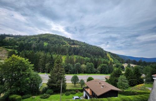 La Bresse Apartment | La Bresse Nature and Glisse