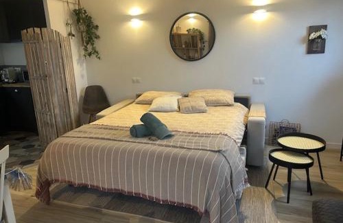 Saint-Paul-en-Foret Villa | LA BRINDILLE Petit mas provencal meublé de tourisme 3 étoiles 2-3 personnes 1 piece 30 m2 tout confort lisière foret jardin Jacuzzi Piscine