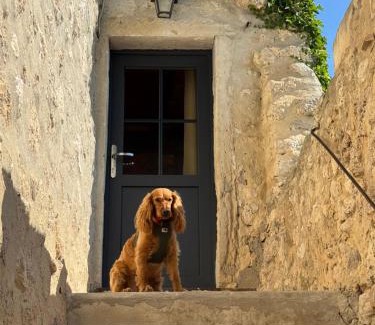 Salles-sous-Bois House | La Bugadière