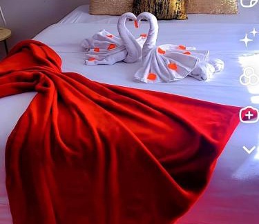 Hesingue Apartment | La Cachette Fleurie