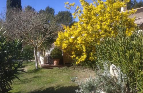 Cheval-Blanc Villa | La Campanette en Luberon -Piscine privée