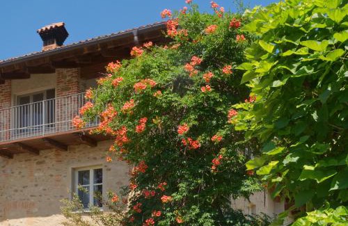 Niella Tanaro Apartment | La Carpa e la Calendula - Appartamenti Vacanze