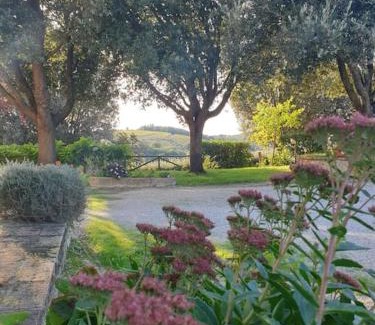 Bollano House | La casa dei nonni tra Crete Senesi e Val D'Orcia