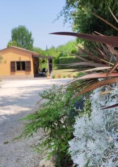 Filottrano House | La Casa del Bosco