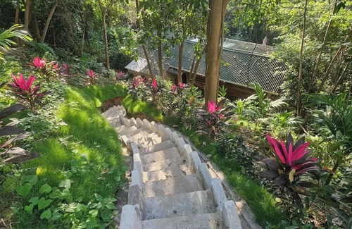 Minca Cabin | La Casa del Mono