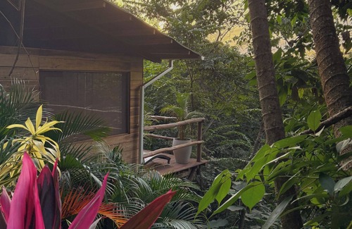 Minca Cabin | La Casa del Mono