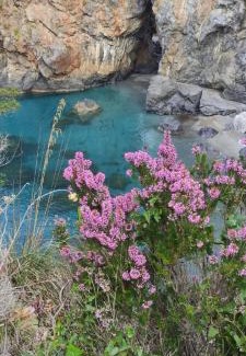 San Nicola Arcella Apartment | La casa del sole (arcomagno San Nicola Arcella)