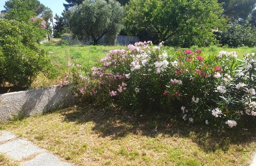 Rio nell'Elba Bed & Breakfast | La Casa di Artemide Affittacamere le Venelle