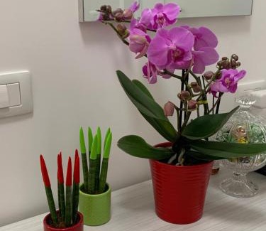 Aurelio Apartment | La Casa di Léon - Battistini - Vaticano