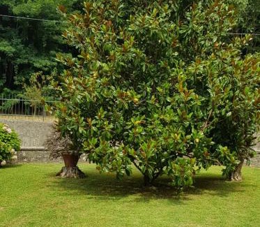 Piegaio Basso House | La Casa di Marta