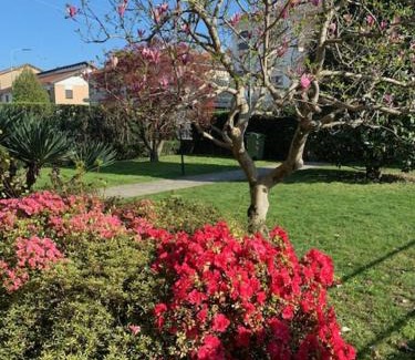 Saluzzo Apartment | La casa di nonna Rosmi