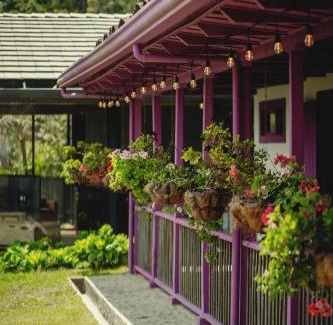 Salento Hotel | La Casa en las Nubes