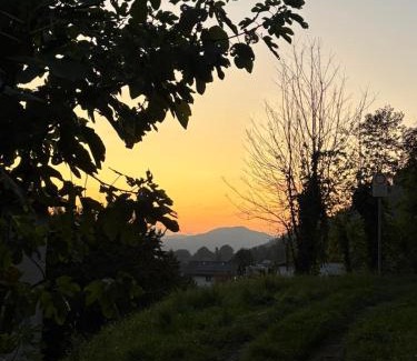 Tavernerio Apartment | La casa nel verde di Francesco