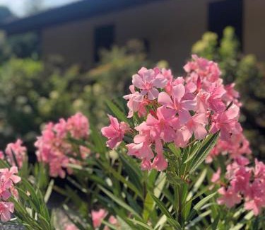 Case Nuove Bed & Breakfast | LA CASETTA Malpensa Guesthouse