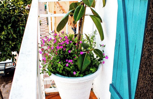 Torreblascopedro House | La Casica del Abuelo Valentin