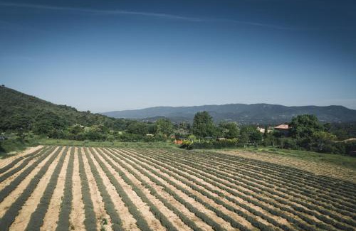 Grambois Bed & Breakfast | La Chambre d'Apolline