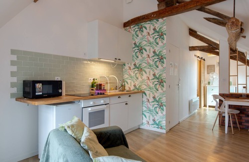 Romorantin-Lanthenay Apartment | La Claustra - Entre châteaux et Beauval