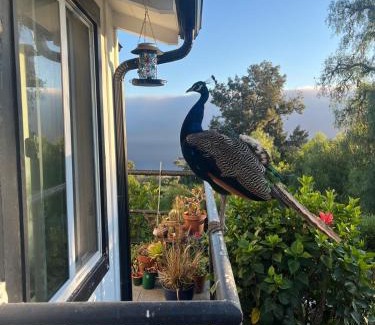 Rancho Palos Verdes House | LA Coastal Oasis