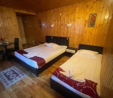 Sinaia House | La Cristina