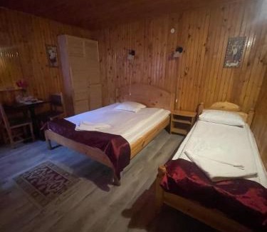 Sinaia House | La Cristina