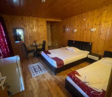 Sinaia House | La Cristina