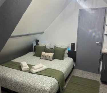 La Chapelle-Saint-Mesmin Apartment | La détente