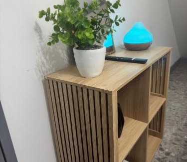 La Chapelle-Saint-Mesmin Apartment | La détente