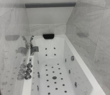 La Chapelle-Saint-Mesmin Apartment | La détente