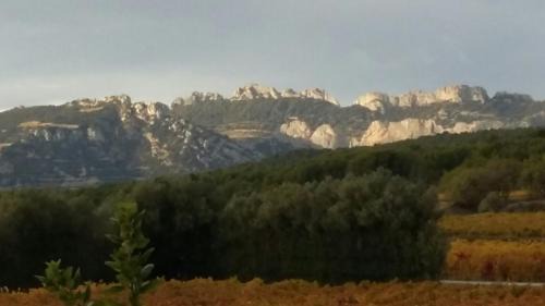 Saint-Hippolyte-le-Graveyron Bed & Breakfast | La Dentellière