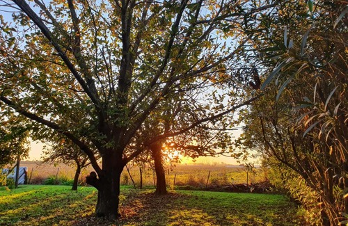 Chivilcoy House | La Diferencia