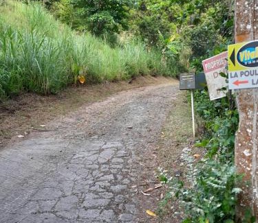 Riviere-Pilote House | La Fée amazonienne