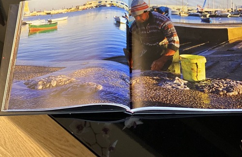 Municipio 5 Apartment | La Flor de la Mar: Apartment a stone's throw from the sea!