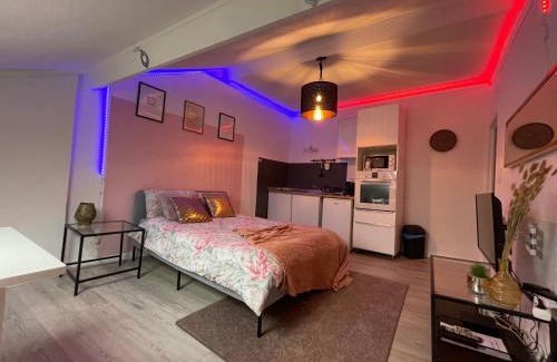 La Garde Apartment | La garde Studio atypique Le Rocher, climatisation, belle décoration