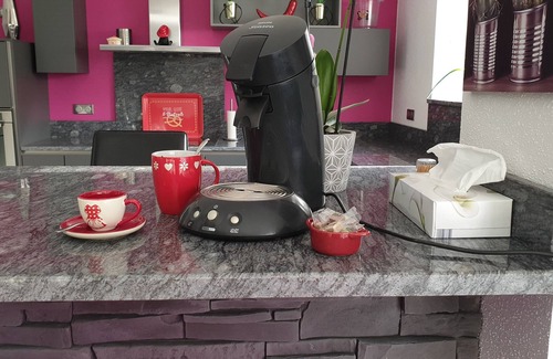 Sigolsheim House | La Griffe à Foin, Kaysersberg - 300 m² House - Private Jacuzzi Sauna