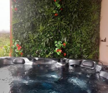 La Plaine-des-Palmistes House | La kaz Zambaville avec jacuzzi privatif