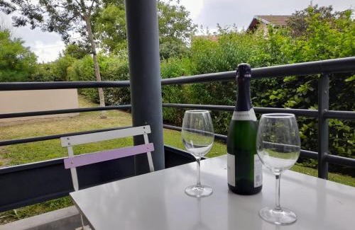 La Celle-sous-Gouzon Apartment | La Mélodie des Harpes