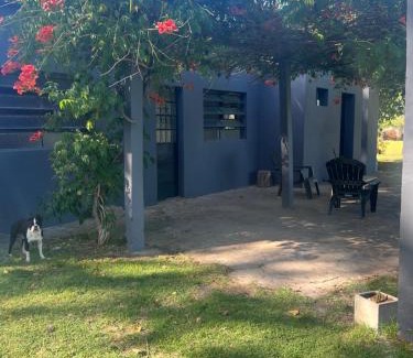 Navarro House | La Macarena