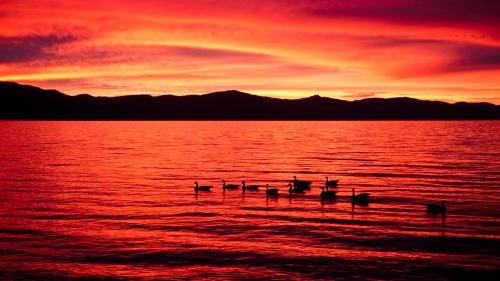 Siorac-en-Perigord House | La maison de Karine